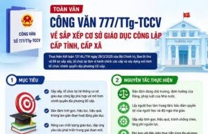 Công văn số 777/TTg-TCCV về sắp xếp cơ sở giáo dục mầm non, phố thông, thường xuyên, giáo dục nghể nghiệp công lập cấp tỉnh, cấp xã